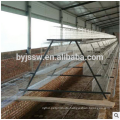 Chicken Battery Cage Laying Hens Cage for Sale